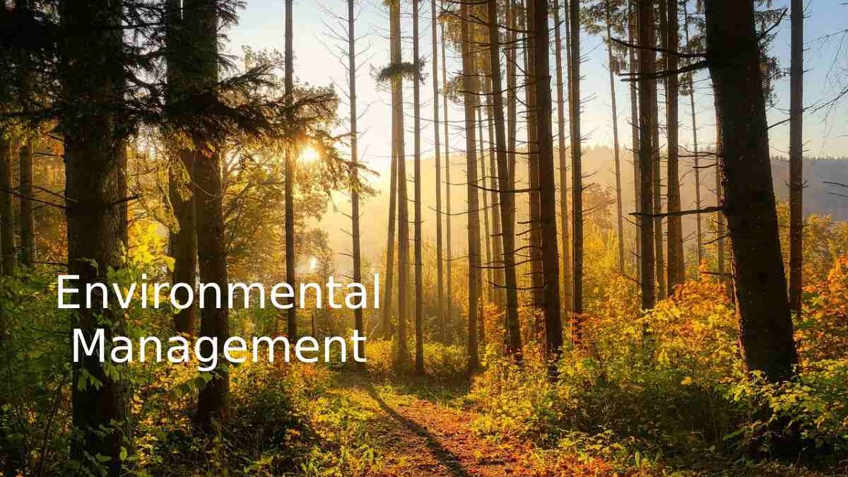 what-is-environmental-management-importance-and-more